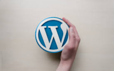 ¿Cómo administrar el contenido de su sitio WordPress?
