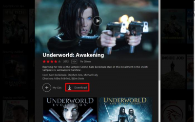 Cómo ver Netflix sin conexión en tu PC
