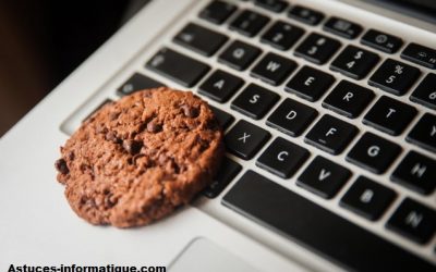 Cómo eliminar las cookies de su ordenador