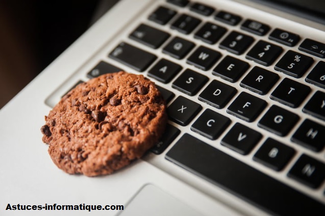 Cómo eliminar las cookies de su ordenador