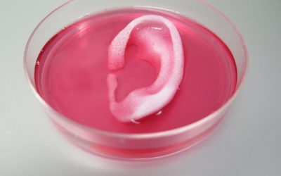 Cómo 4 universidades están utilizando la impresión en 3D para crear oídos, cartílagos y células sanguíneas