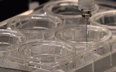 3D ‘bioprinting’: 10 cosas que debes saber sobre su funcionamiento