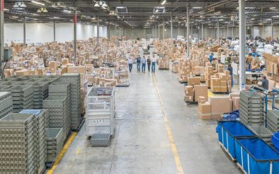 Cómo un sitio web de subastas se sometió a una transformación digital para aumentar las ventas de 8 millones de euros a 70 millones de euros