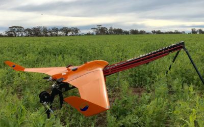 Cómo los aviones no tripulados están avanzando constantemente en la industria ambiental de Australia
