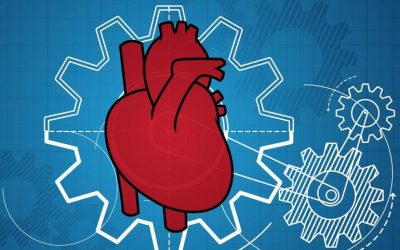 Un gran avance: cómo los científicos están imprimiendo en 3D un corazón humano que funcionará mejor que el suyo.
