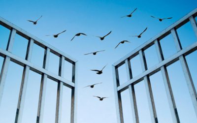 Cómo el código abierto puede resolver la crisis de ingeniería de Silicon Valley