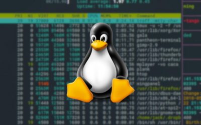 Cómo encontrar un proceso por nombre en los servidores de su centro de datos Linux