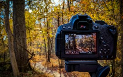 Cómo hacer que su fotografía de paisajes se destaque