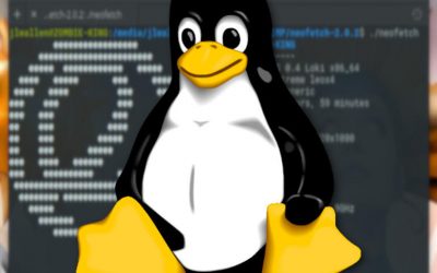 Cómo obtener toda la información que necesita sobre su máquina Linux con un solo comando