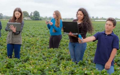 Cómo Digital NEST podría ayudar a una comunidad rural en apuros sacando a los niños de los campos e insertándolos en trabajos tecnológicos.