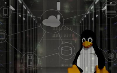 Cómo buscar direcciones IP en su red con Linux